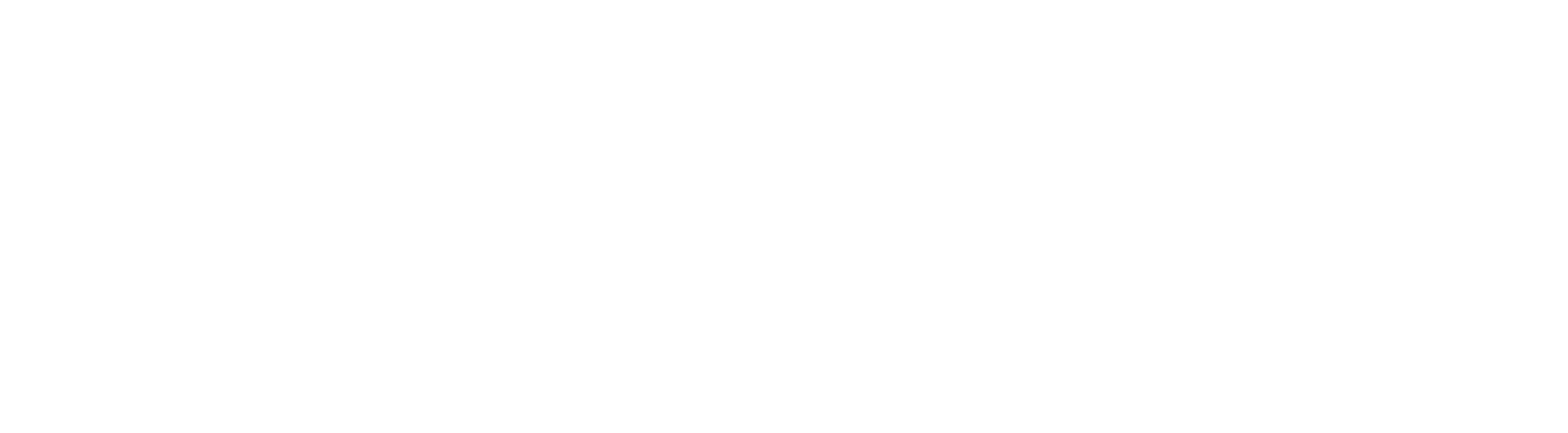 AOT logo-WHITE
