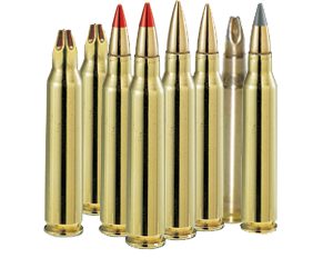 SCA_5.56_rounds