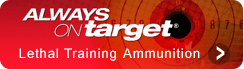 link_always-on-target